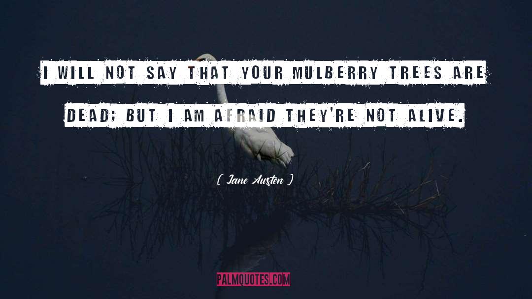 Mulberry quotes by Jane Austen