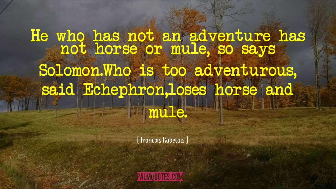 Mules quotes by Francois Rabelais