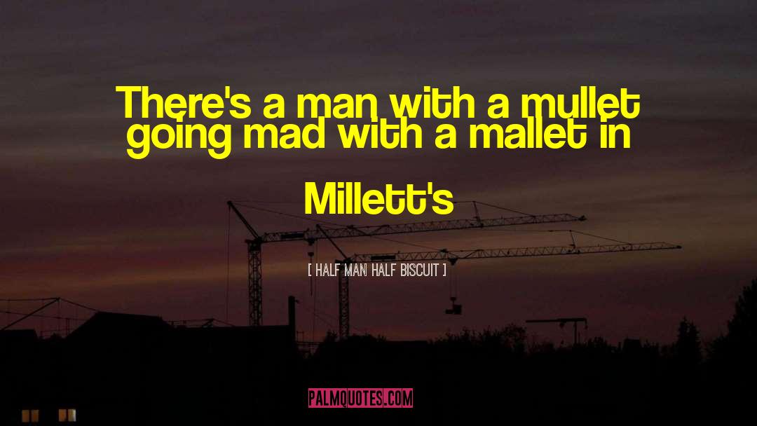 Mullet quotes by Half Man Half Biscuit