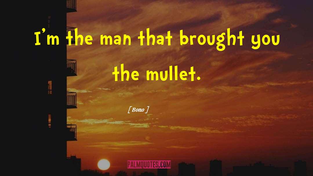 Mullet quotes by Bono