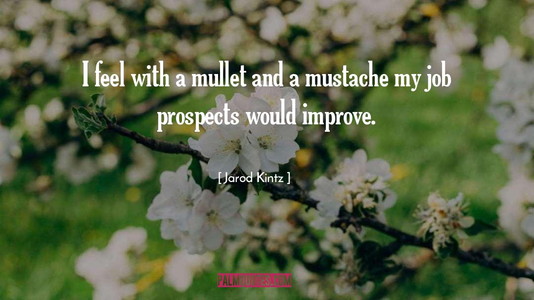 Mullet quotes by Jarod Kintz