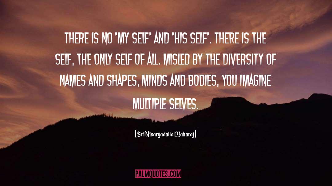 Multiple Identities quotes by Sri Nisargadatta Maharaj