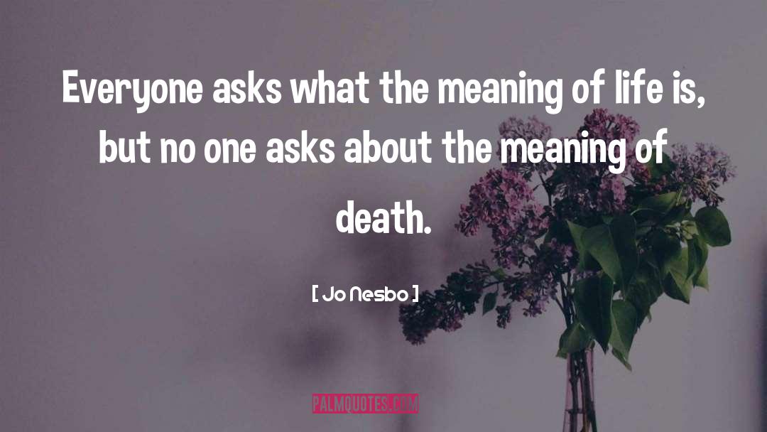 Multiple Meaning quotes by Jo Nesbo