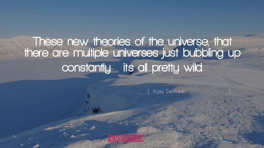 Multiple Universes quotes by Vijay Seshadri