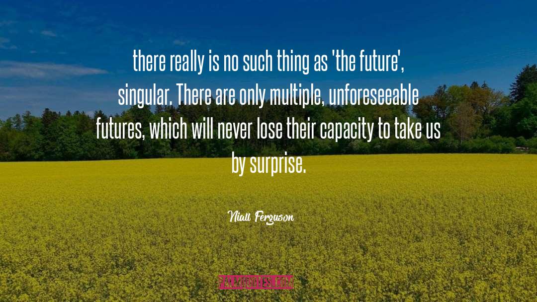 Multiple Universes quotes by Niall Ferguson