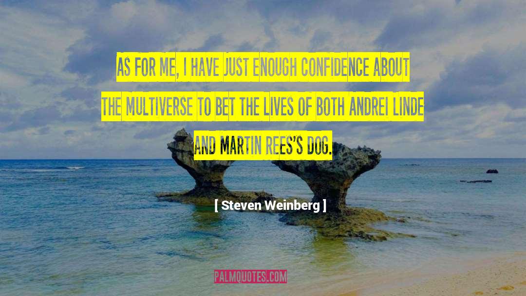 Multiverse quotes by Steven Weinberg