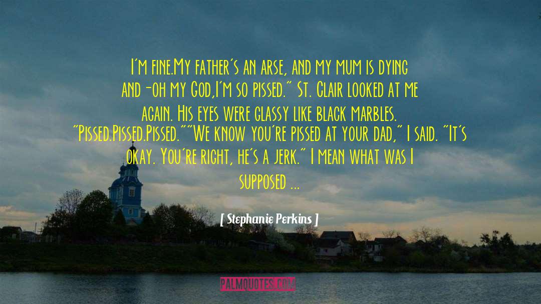 Mum Cancer quotes by Stephanie Perkins