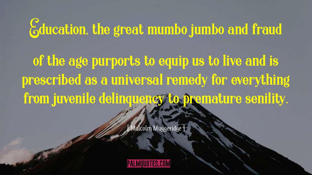 Mumbo Jumbo quotes by Malcolm Muggeridge