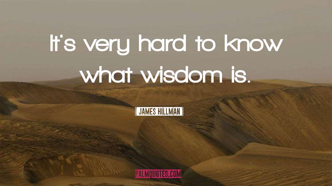 Mums Wisdom quotes by James Hillman
