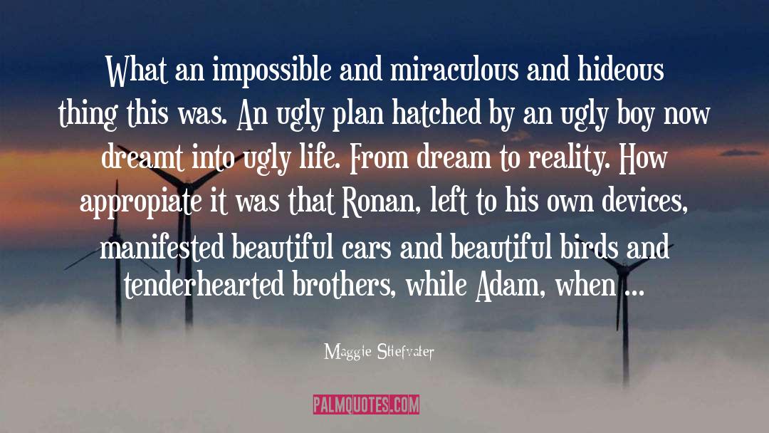 Mundane Reality quotes by Maggie Stiefvater