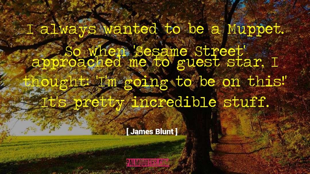 Muppet quotes by James Blunt