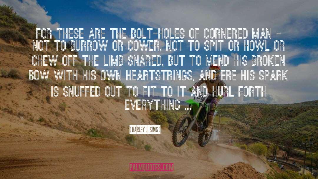 Murakoshi Bolt quotes by Harley J. Sims
