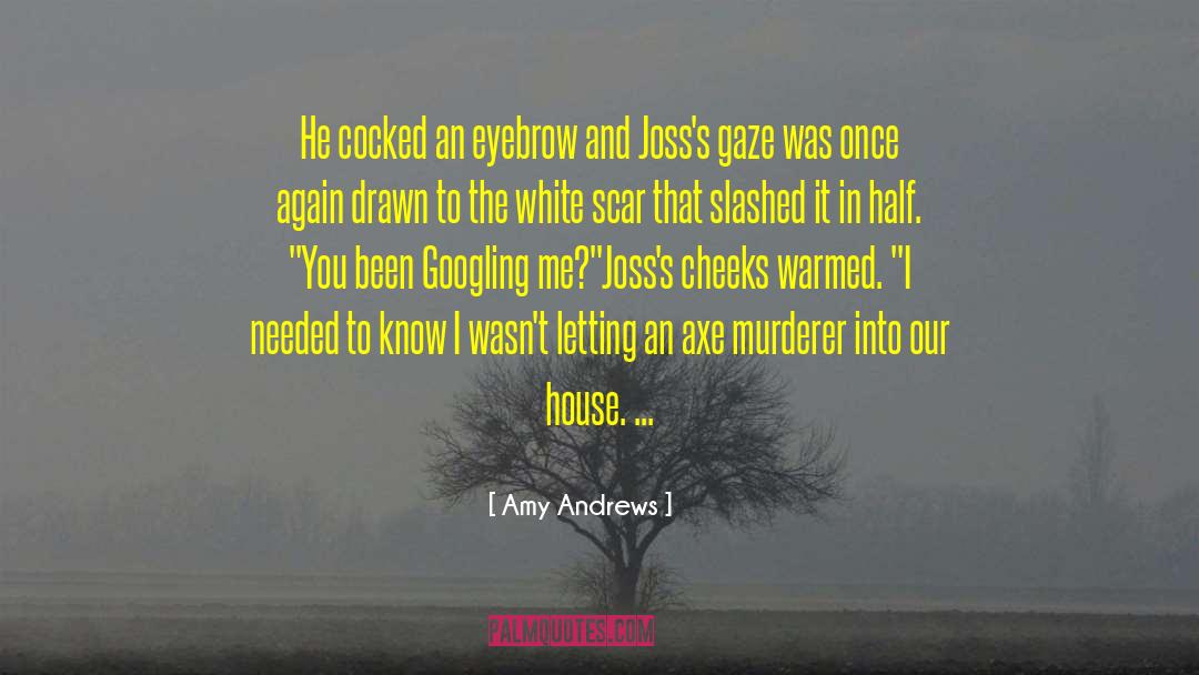 Murderer quotes by Amy Andrews