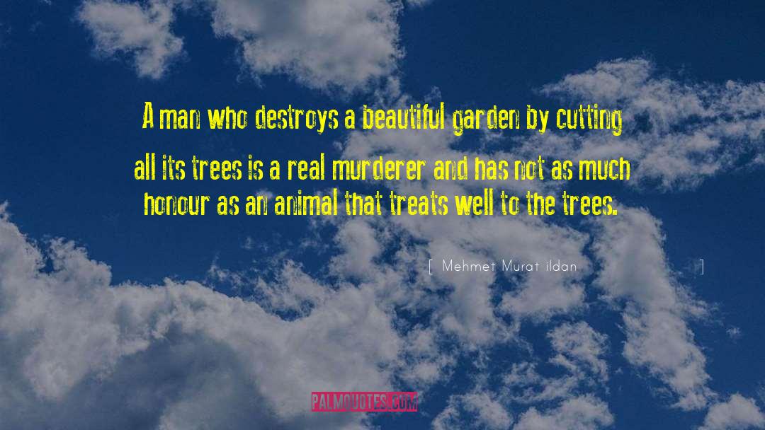 Murderer quotes by Mehmet Murat Ildan