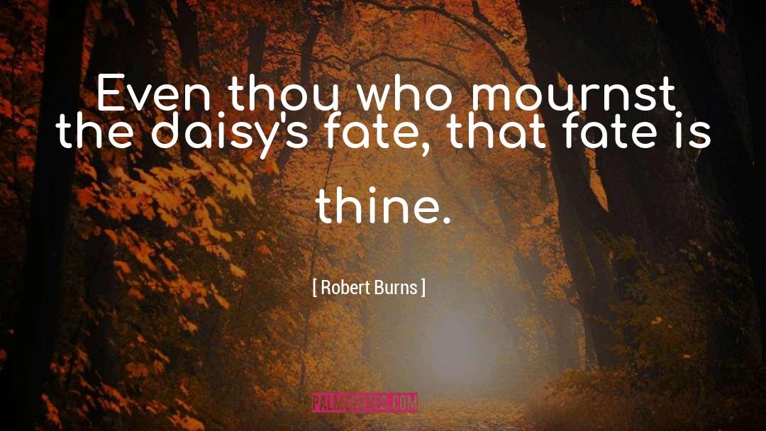 Muscatell Burns quotes by Robert Burns