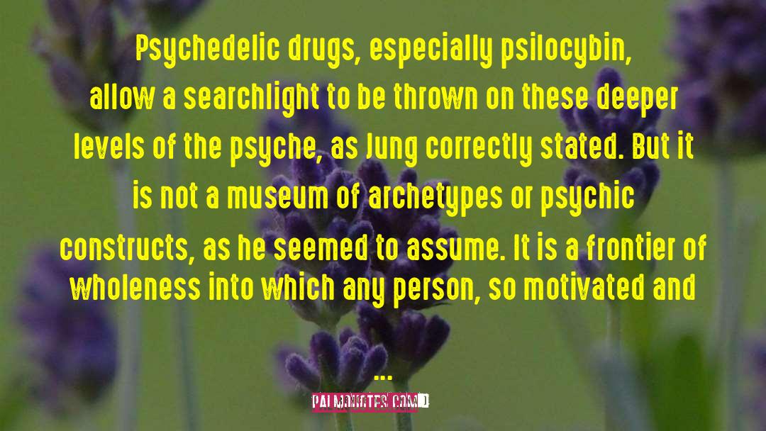 Muscle Museum quotes by Terence McKenna
