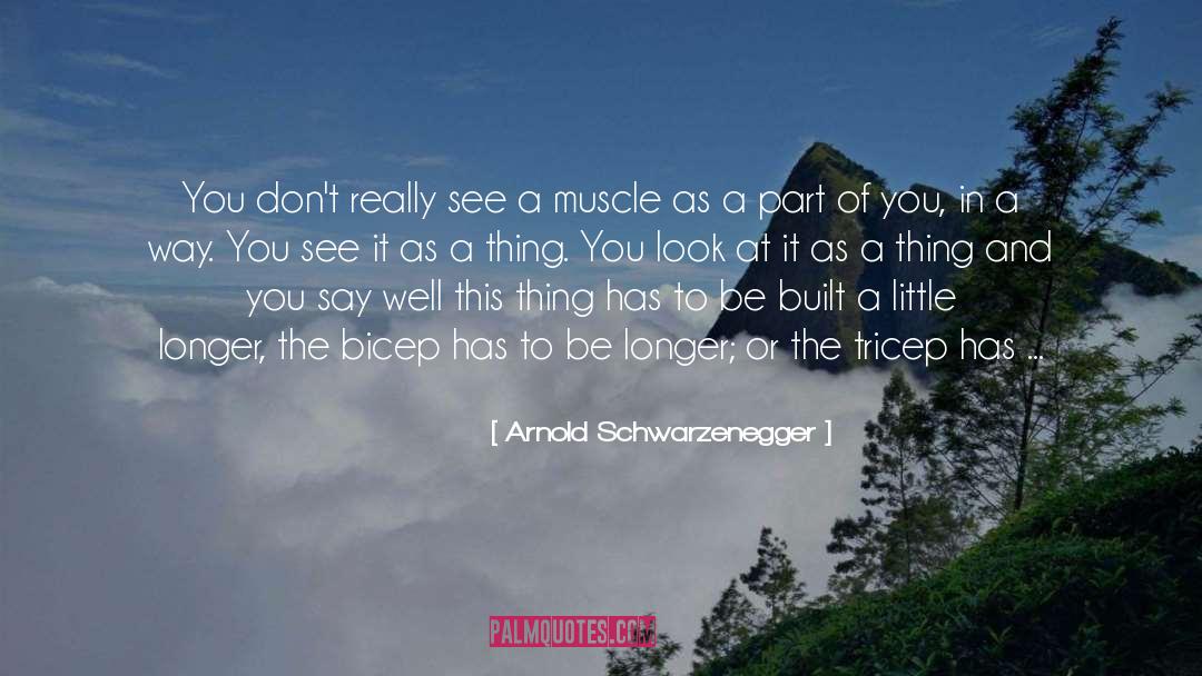 Muscles quotes by Arnold Schwarzenegger
