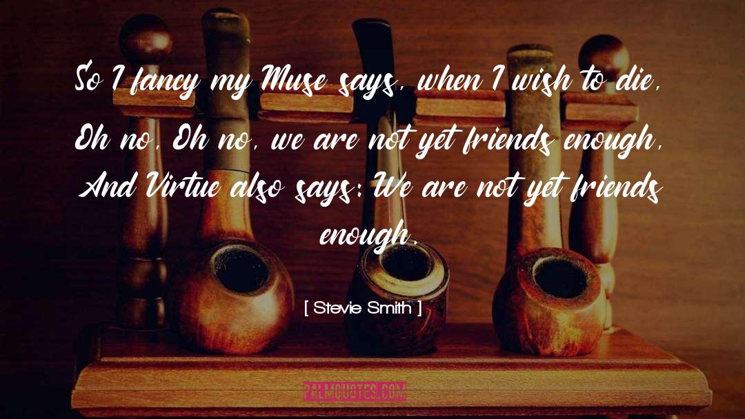 Muse To Akil quotes by Stevie Smith