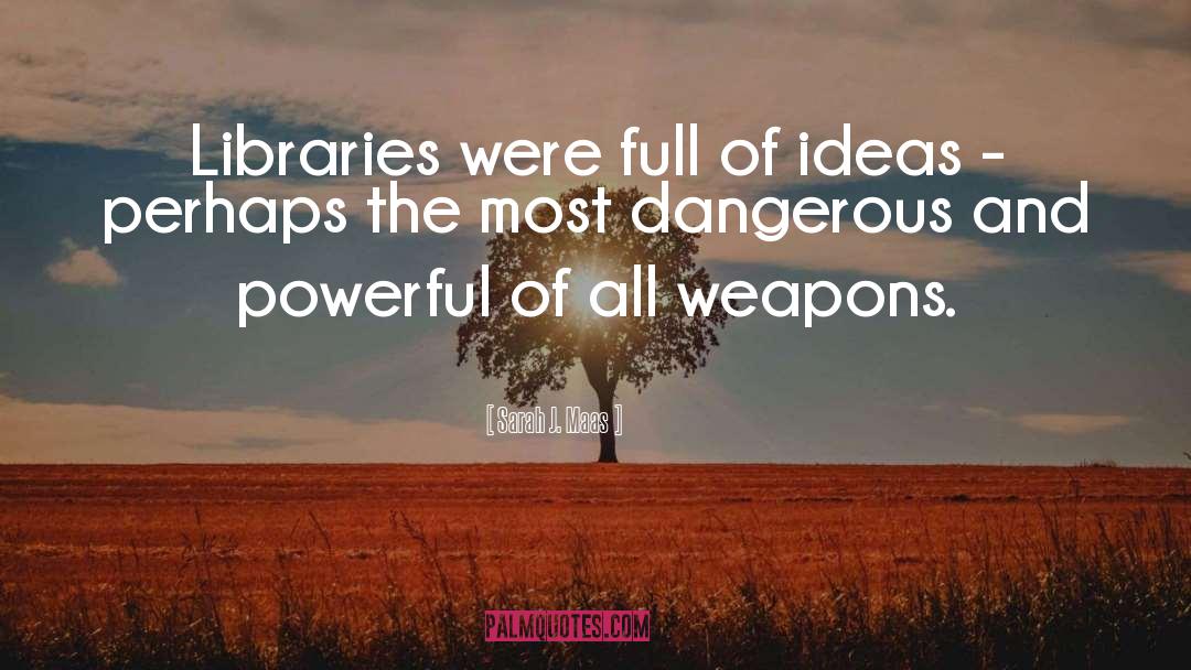 Museum Libraries quotes by Sarah J. Maas