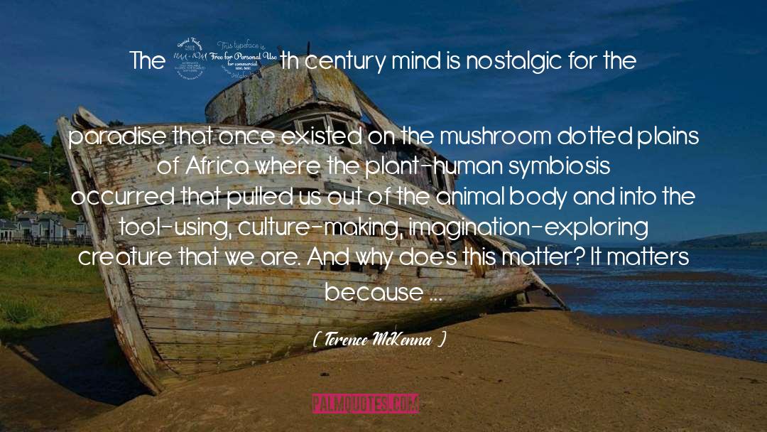 Mushroom quotes by Terence McKenna