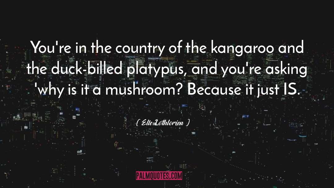 Mushroom quotes by Elle Lothlorien