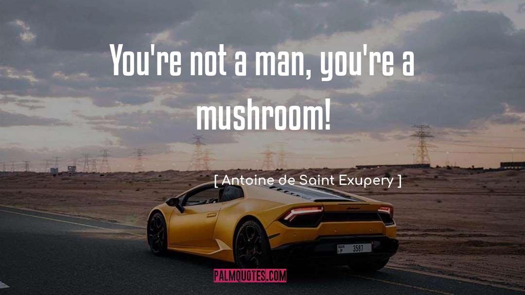 Mushroom quotes by Antoine De Saint Exupery