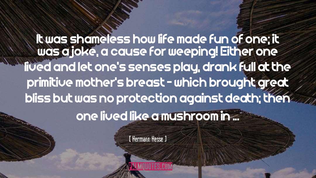 Mushroom quotes by Hermann Hesse