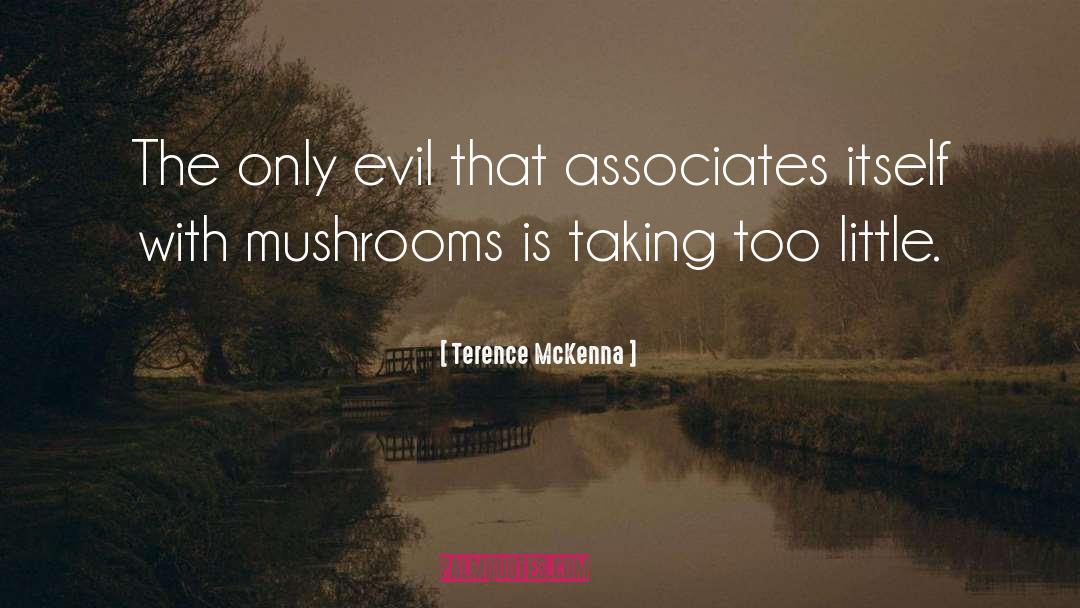 Mushrooms quotes by Terence McKenna