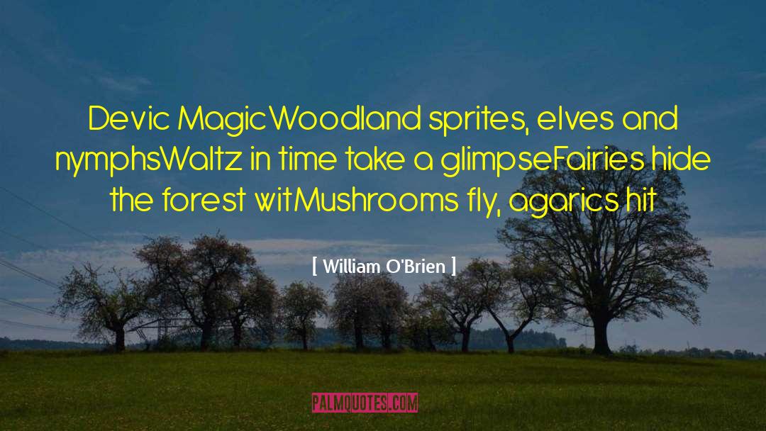 Mushrooms quotes by William O'Brien