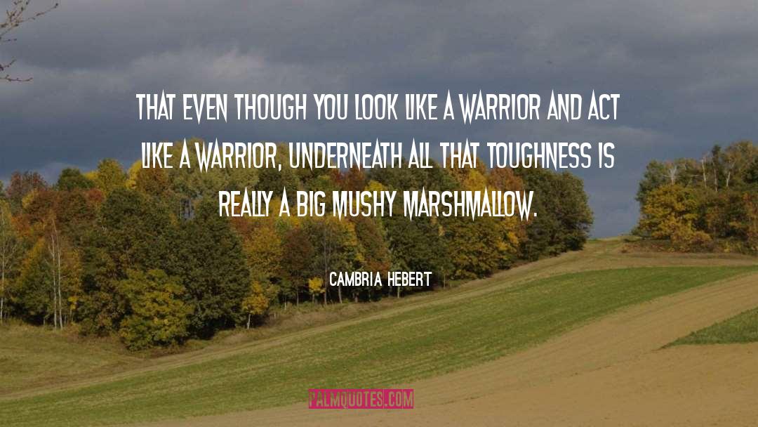 Mushy quotes by Cambria Hebert