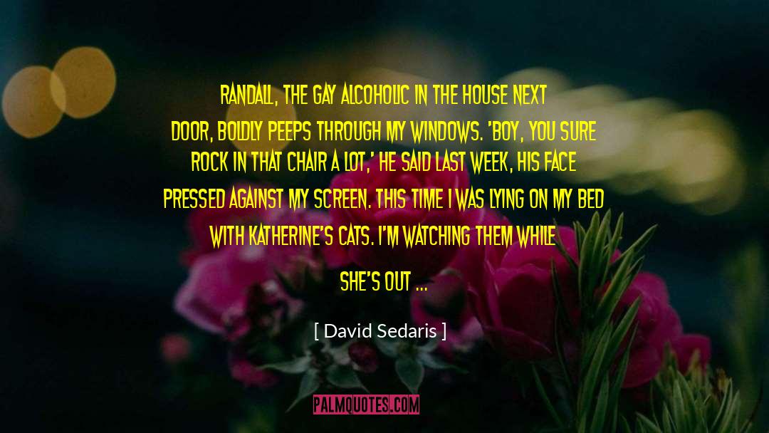 Mushy quotes by David Sedaris