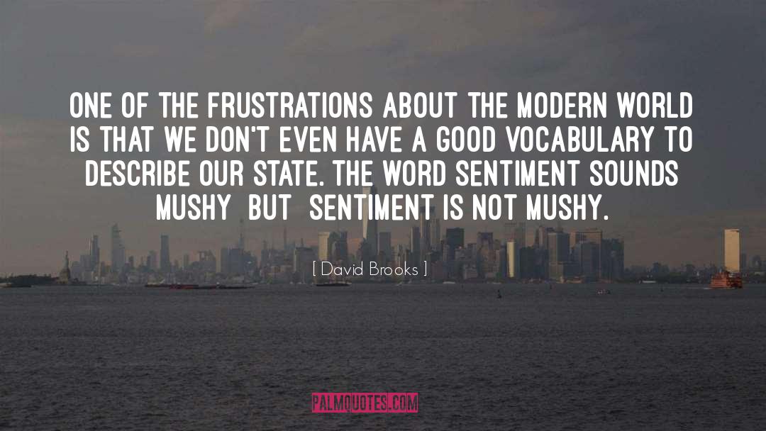 Mushy quotes by David Brooks