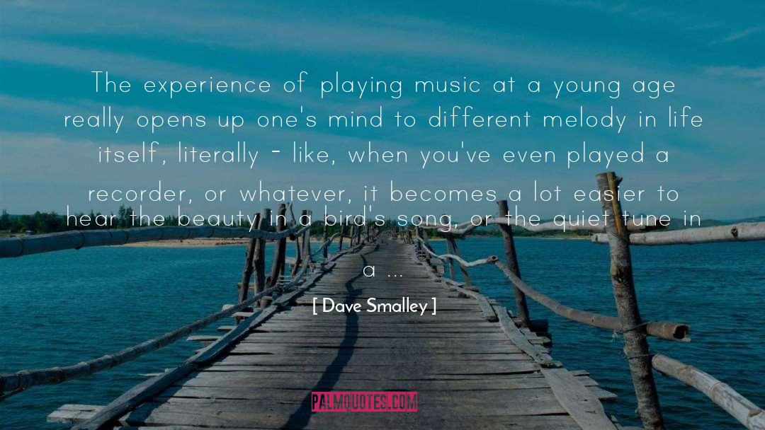 Music Beauty Emotion quotes by Dave Smalley