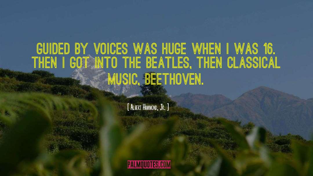 Music Beethoven quotes by Albert Hammond, Jr.