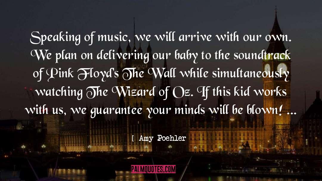 Music Career quotes by Amy Poehler