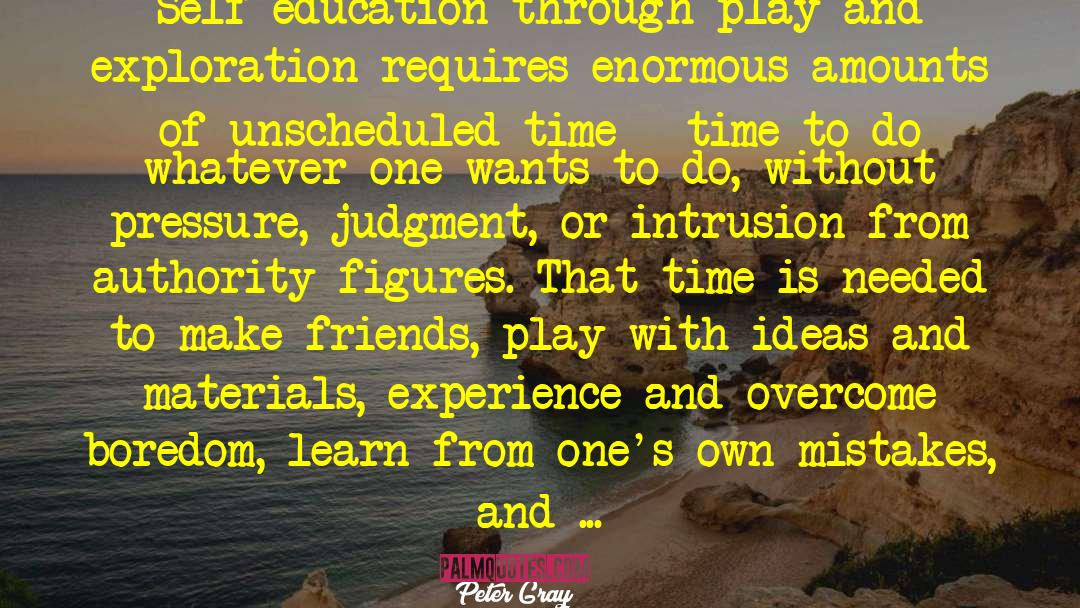 Music Education quotes by Peter Gray