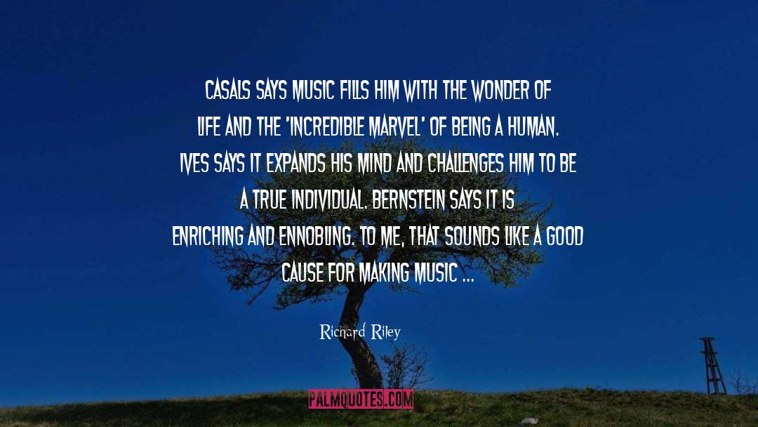 Music Fills The Soul quotes by Richard Riley