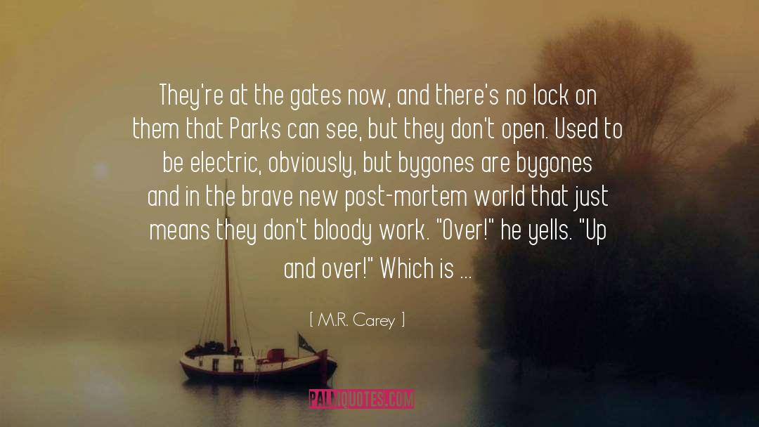 Music In Brave New World quotes by M.R. Carey