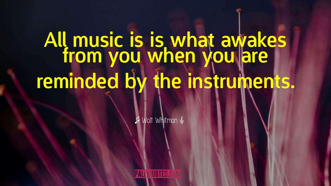 Music Instruments Instruction quotes by Walt Whitman