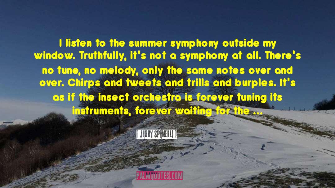Music Instruments Instruction quotes by Jerry Spinelli