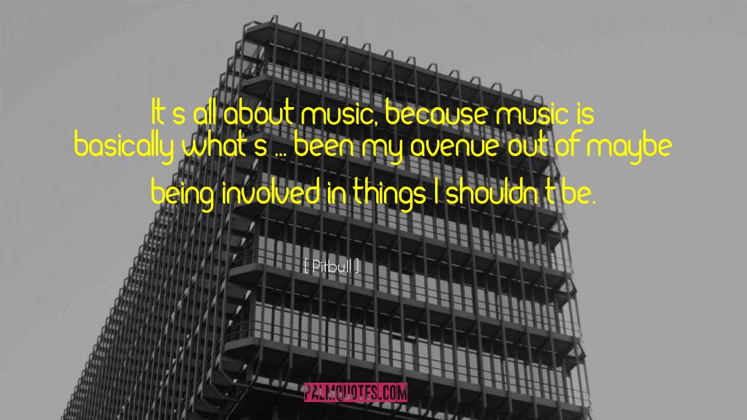 Music Offers quotes by Pitbull