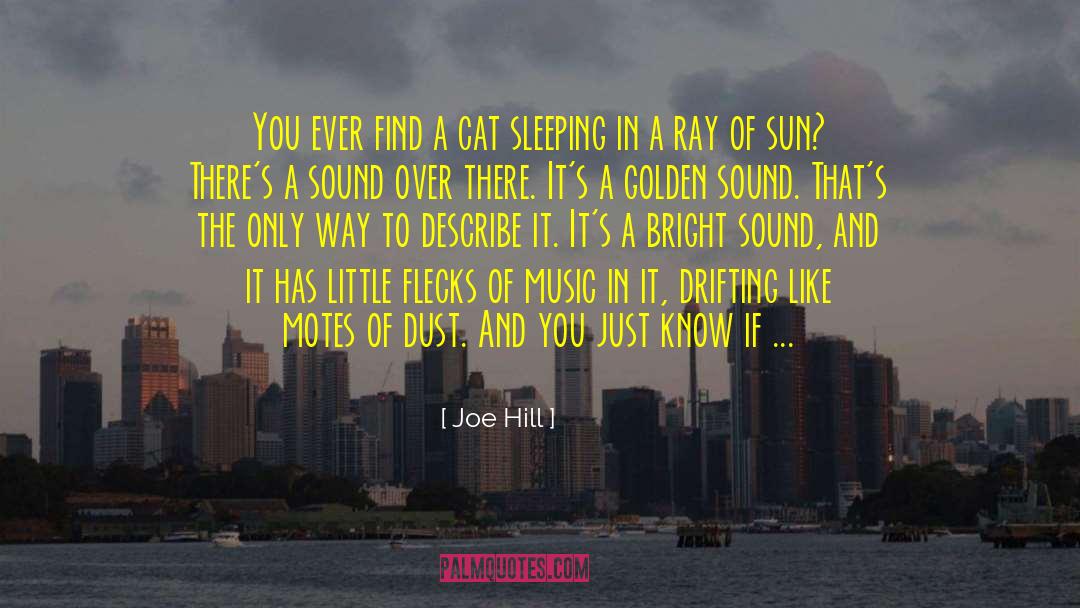 Music Records quotes by Joe Hill