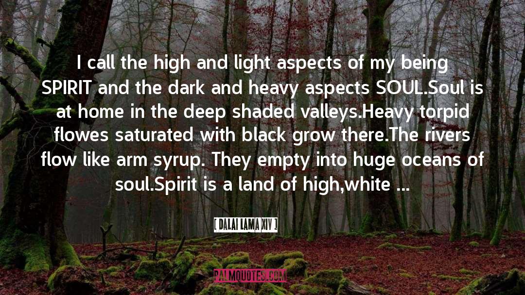 Music Soul quotes by Dalai Lama XIV