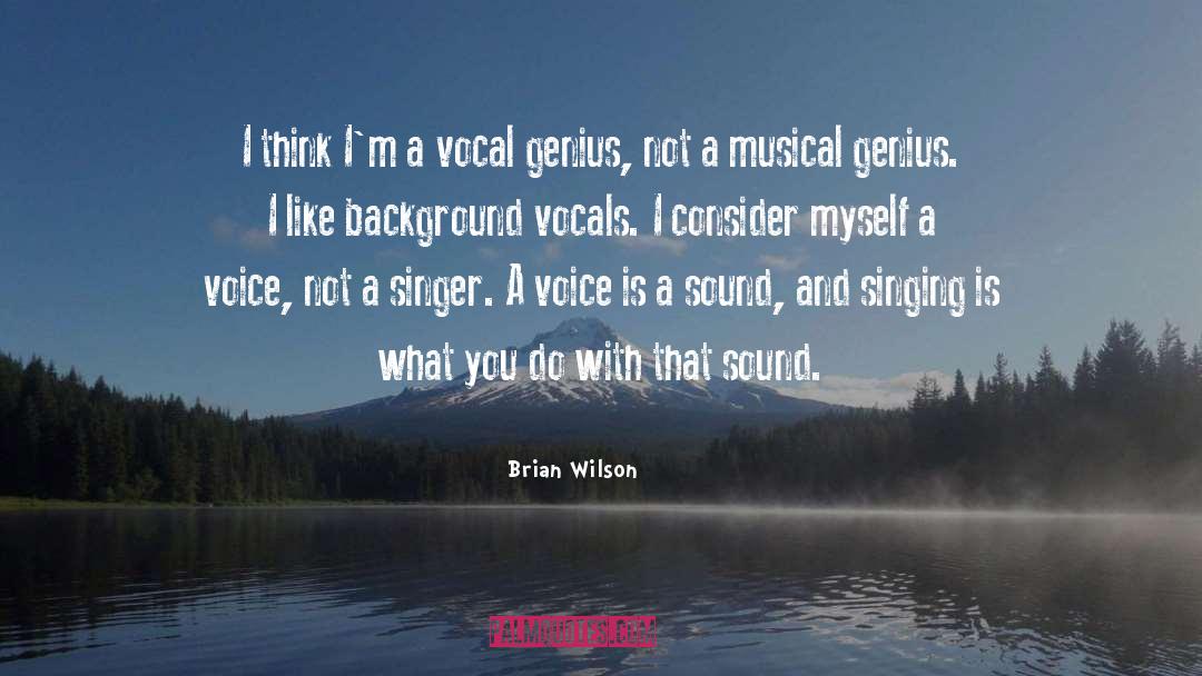 Musical Genius quotes by Brian Wilson