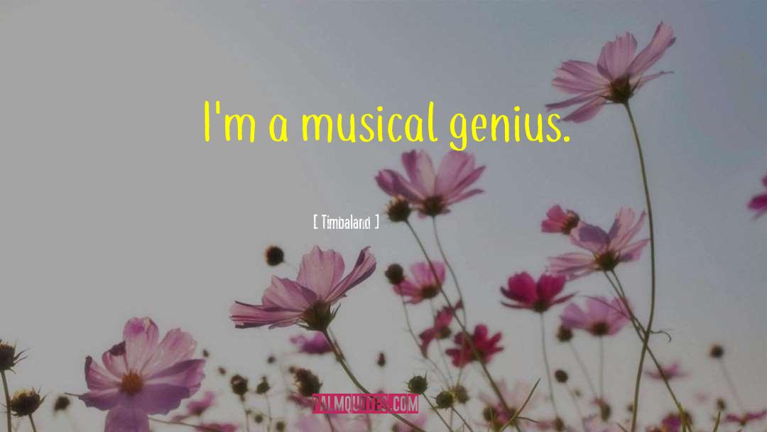 Musical Genius quotes by Timbaland