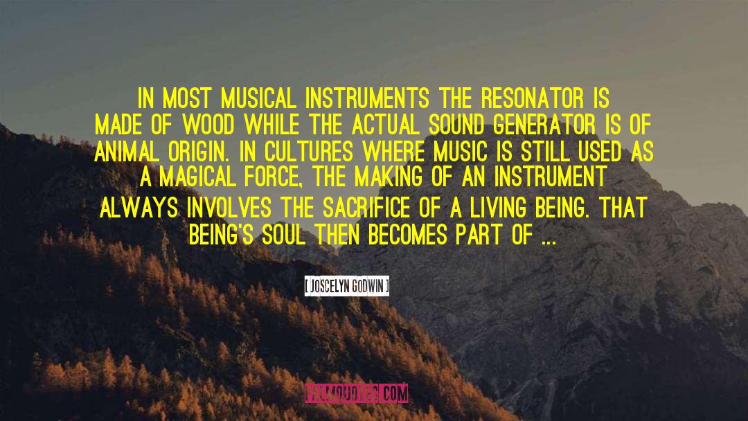 Musical Instruments quotes by Joscelyn Godwin