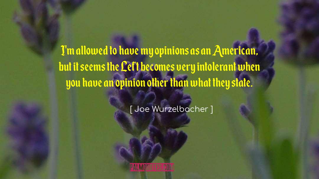 Musicians Opinions quotes by Joe Wurzelbacher