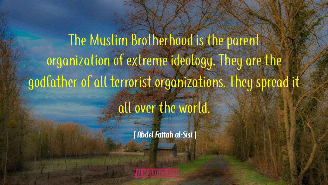 Muslim Brotherhood quotes by Abdel Fattah Al-Sisi