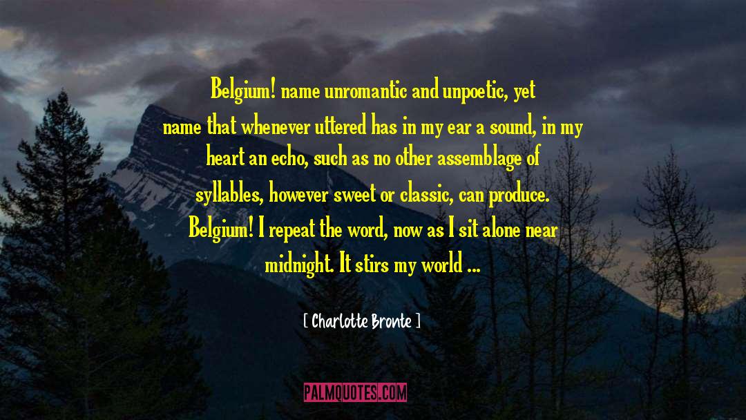 Muslim World quotes by Charlotte Bronte