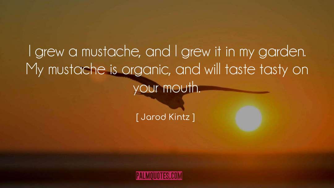 Mustache quotes by Jarod Kintz